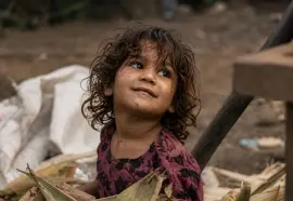 Ngo (5) Ngo (5)